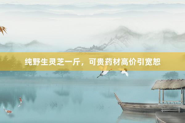纯野生灵芝一斤，可贵药材高价引宽恕
